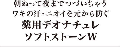 朝ぬって夜までつづいちゃうワキの汗・ニオイを元から防ぐ 薬用デオナチュレソフトストーンW